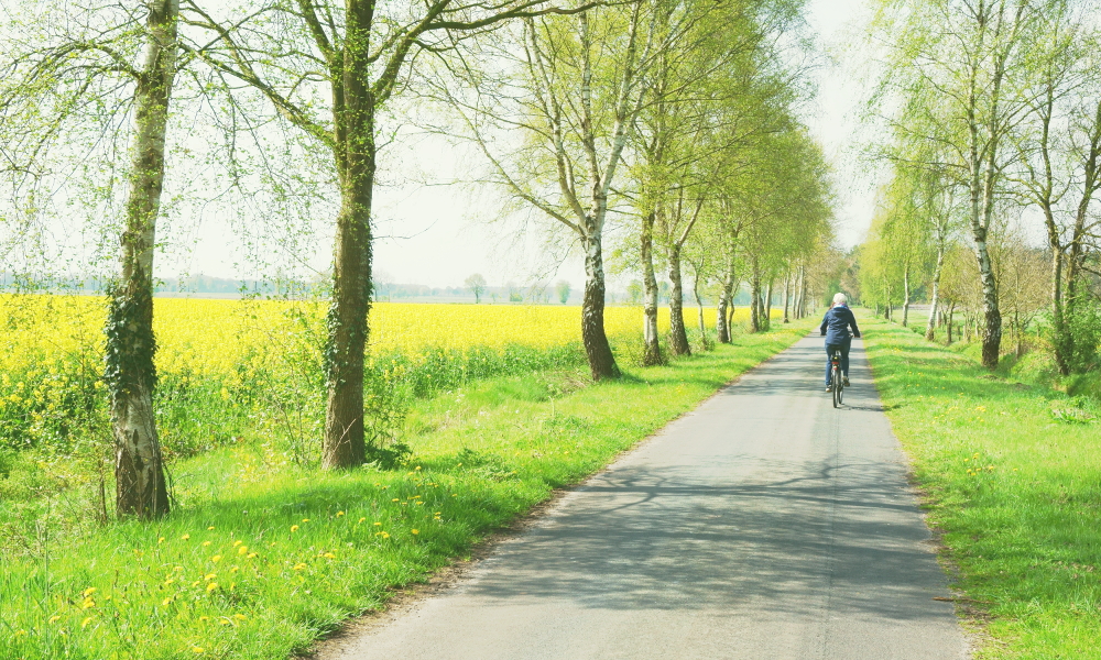 Fahrradweg Hesel und Uplengen