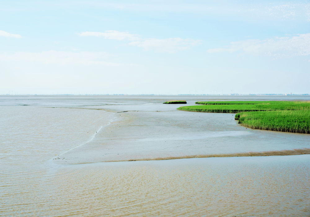 Das Wattenmeer